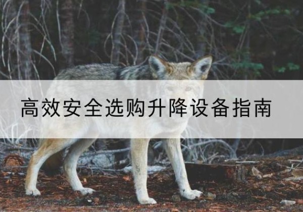 陈仓升降货梯厂家推荐-*安全选购升降设备指南