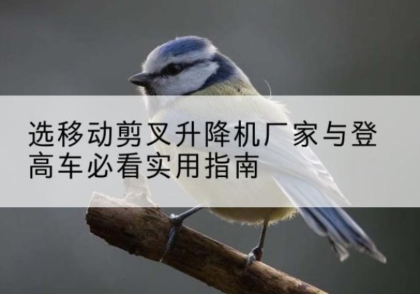 陈仓电动升降机厂家-选移动剪叉升降机厂家与登高车必看实用指南