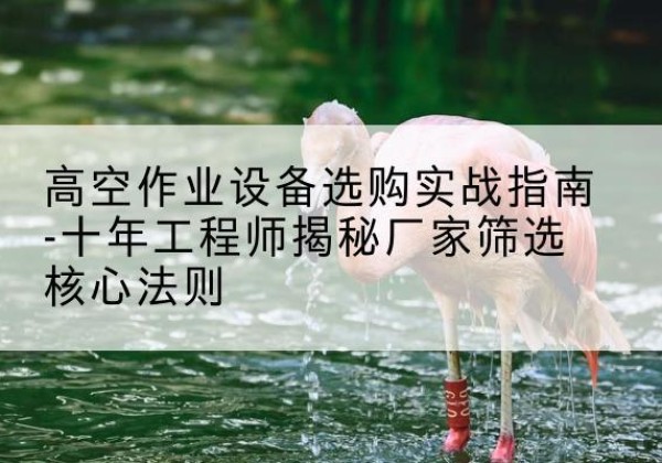 陈仓剪叉式升降机厂家-高空作业设备选购实战指南-十年工程师揭秘厂家筛选核心法则